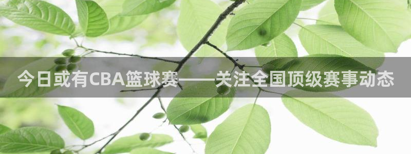 今日或有CBA篮球赛——关注全国顶级赛事动态