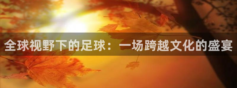 全球视野下的足球：一场跨越文化的盛宴