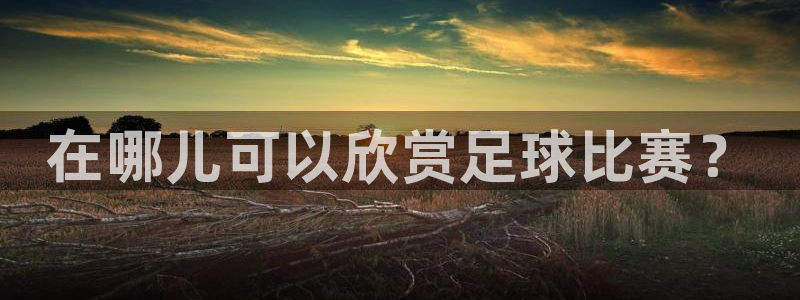在哪儿可以欣赏足球比赛？