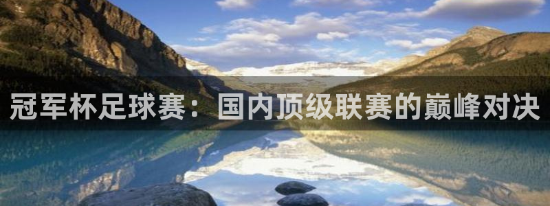 风速体育关注主播怎么进他主页：冠军杯足球赛：国内顶级联赛的巅