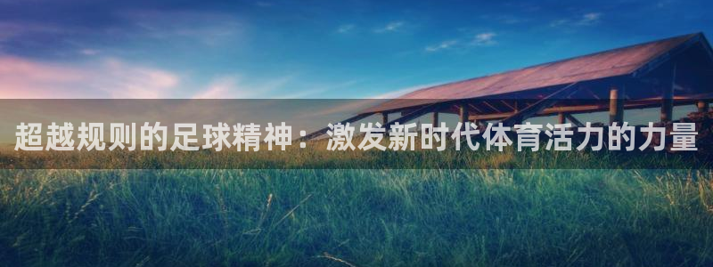 风速体育评价：超越规则的足球精神：激发新时代体育活力的力量