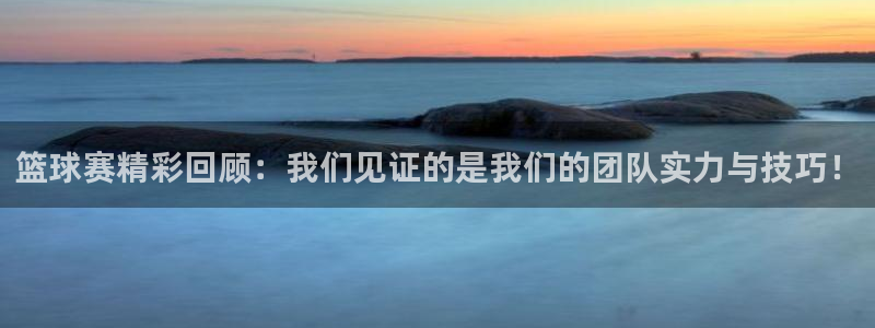 风速体育app怎么样可靠吗安全吗：篮球赛精彩回顾：我们见证的