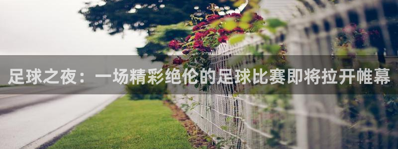 风速体育nba录像在线观看：足球之夜：一场精彩绝伦的足球比赛