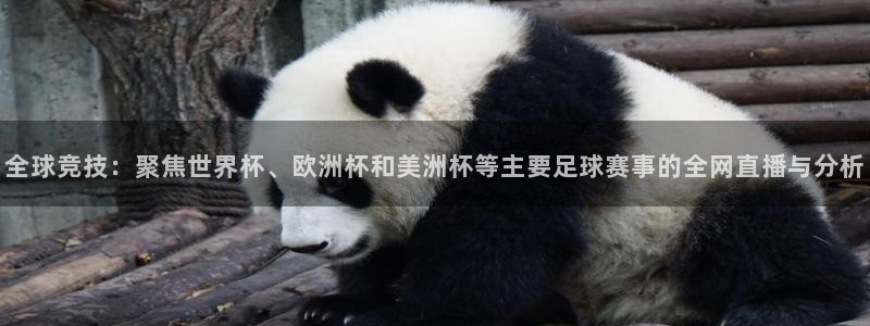 风速体育球钻有什么用：全球竞技：聚焦世界杯、欧洲杯和美洲杯等