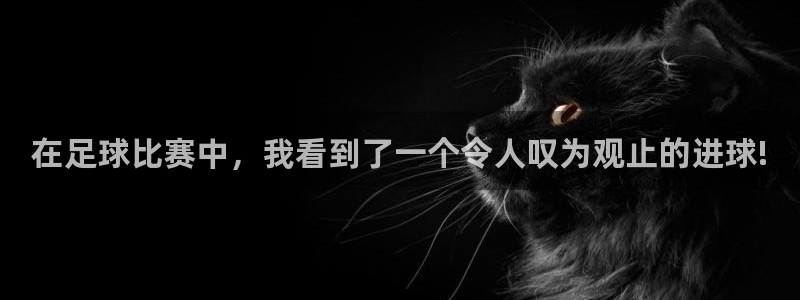 风速体育直播下载手机版安装：在足球比赛中，我看到了一个令人叹
