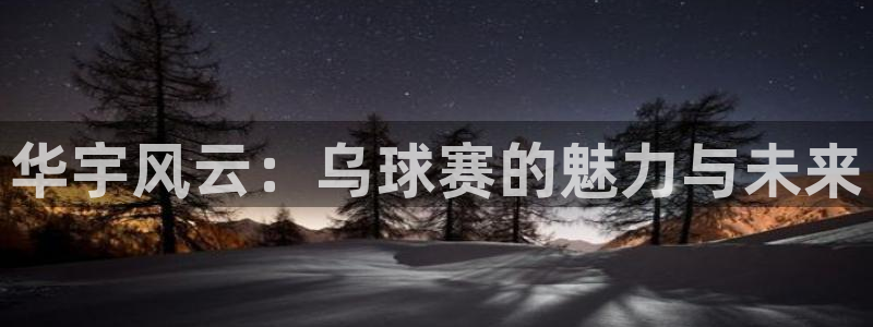 风速体育直播下载：华宇风云：乌球赛的魅力与未来